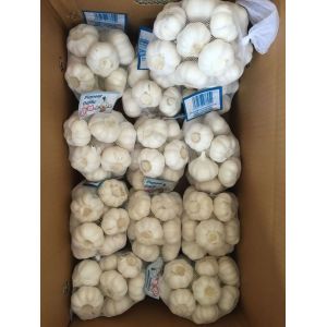大蒜加工，改包，裝箱，出口