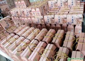 汕尾：大安蒜規(guī)?；N植 ()