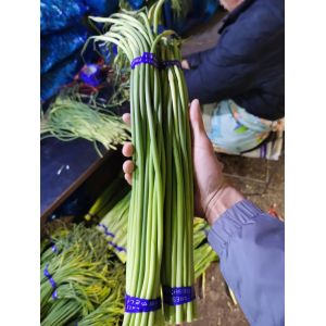 長年供應(yīng)冷庫保鮮蒜薹，質(zhì)優(yōu)價廉