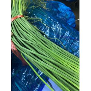 商河優(yōu)質(zhì)紅帽，白帽蒜苔