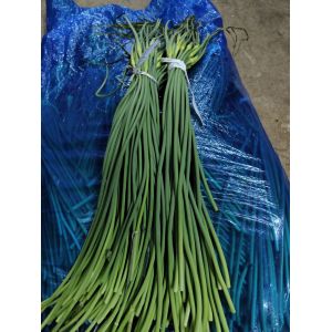大量供應(yīng)商河優(yōu)質(zhì)紅帽，白帽蒜苔
