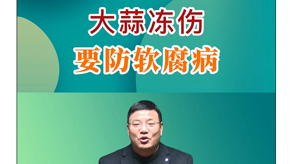 大蒜凍傷要防軟腐病(1) (843播放)