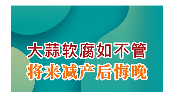 大蒜軟腐如不管，將來(lái)減產(chǎn)后悔晚 (790播放)