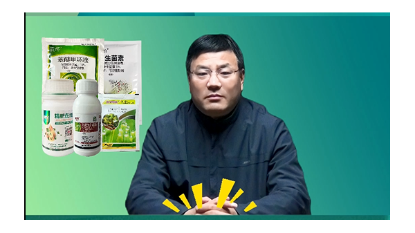 大蒜返青時(shí)，要預(yù)防葉部病害 (866播放)