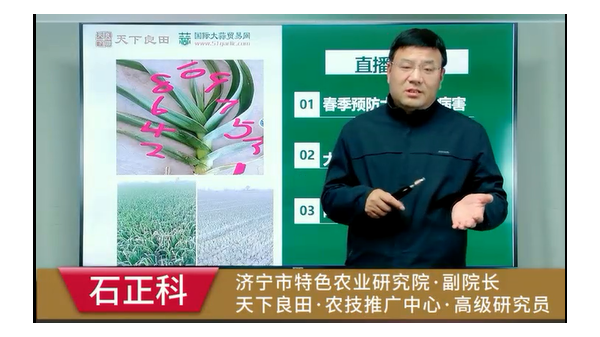 如何預(yù)防大蒜葉部病害 (747播放)