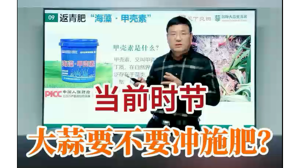 當(dāng)前時節(jié)大蒜要不要沖施肥？ ()