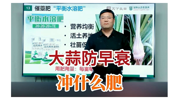 大蒜防早衰沖什么肥 (839播放)