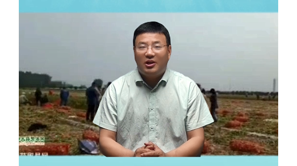 新蒜的確立價格要在什么時候出現(xiàn)？ (965播放)