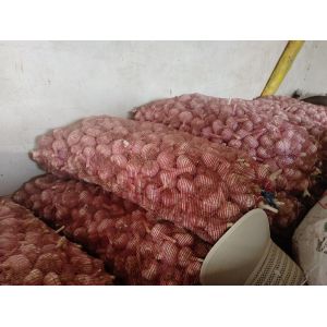 長(zhǎng)期供應(yīng)濟(jì)南大青棵蒜種，以及四六瓣大蒜