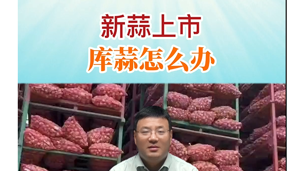 新蒜上市、庫蒜怎么辦？ ()