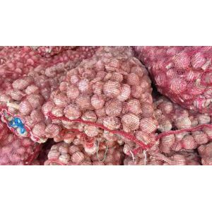 本人大量供應(yīng)脫水蒜，蒜米料，蒜黃料