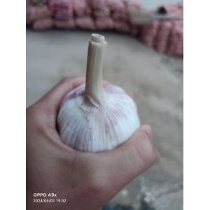 代購(gòu)，代收。代加工