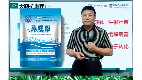 大蒜抗重茬1+1（藻旺根） (886播放)