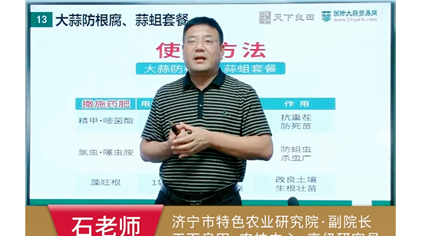 大蒜預(yù)防根腐蒜蛆組合用法用量 (790播放)