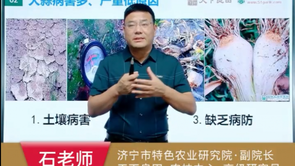 大蒜病害多 產(chǎn)量低的原因 (738播放)