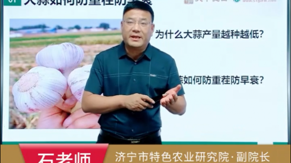 改變種植模式 種出優(yōu)質(zhì)大蒜 (792播放)