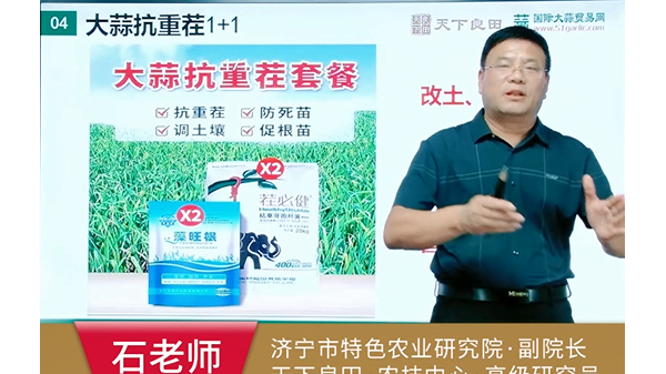 大蒜常年重茬連作防控病害方案 (700播放)