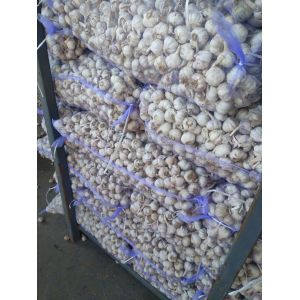 大量供應河南杞縣大蒜，印尼，蒜米料，小三級