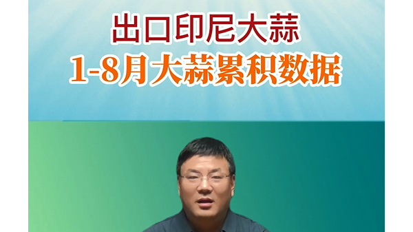 出口印尼大蒜1-8月大蒜累積數(shù)據(jù) (786播放)