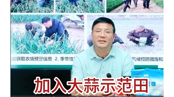 加入大蒜示范田好處與優(yōu)勢(shì) (725播放)
