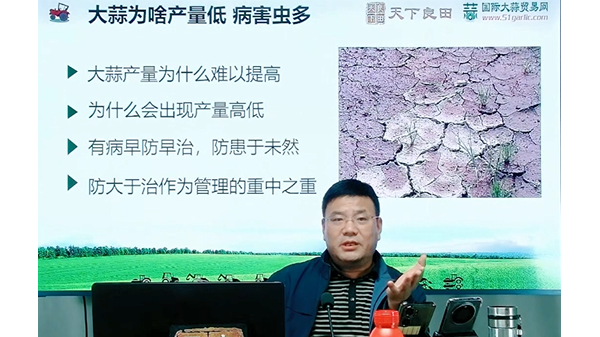 大蒜重茬種植提前預防病蟲害 (636播放)