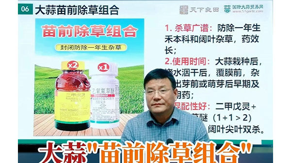 大蒜苗情除草組合特點(diǎn) (608播放)
