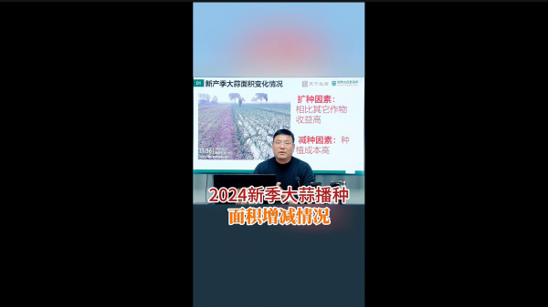 2024新季大蒜播種面積增減情況 (818播放)