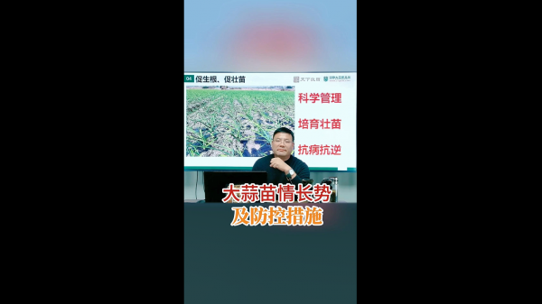 大蒜苗情長(zhǎng)勢(shì)及防控措施 (713播放)