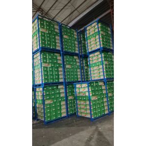 出口大蒜，加工大蒜，代存大蒜