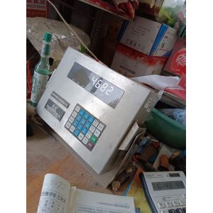 精品白蒜，5公分，5.5公分