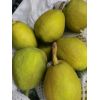 冷庫(kù)新疆庫(kù)爾香梨80-100克價(jià)格1.4元，100克以上價(jià)格1.8元。