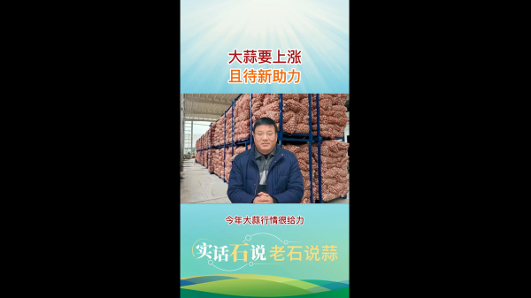 大蒜要上漲、且待新助力 (442播放)