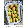 紅香酥梨，陜西紅香酥梨價(jià)格8毛到1.2元，需要請(qǐng)與及時(shí)雨果蔬聯(lián)系