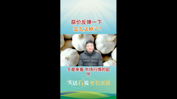 蒜價反彈一下怎么又掉了？ (402播放)