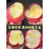 陜西冷庫冰糖心紅富士蘋果，陽光玫瑰葡萄，紅香酥梨產(chǎn)地代購代銷