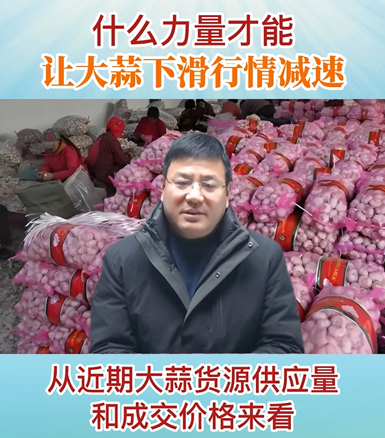 什么力量才能讓大蒜下滑行情減速 (377播放)