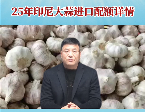 25年印尼大蒜進(jìn)口配額詳情 (480播放)