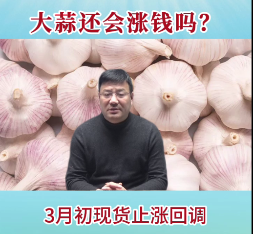 大蒜還會(huì)漲錢嗎？ ()