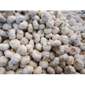 專業(yè)生產(chǎn)儲(chǔ)存蒜片，大蒜，洋蔥