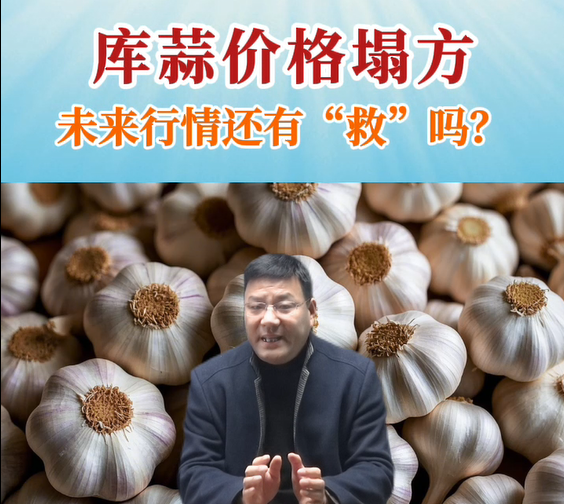 庫(kù)蒜價(jià)格塌方、未來(lái)行情還有“救”嗎