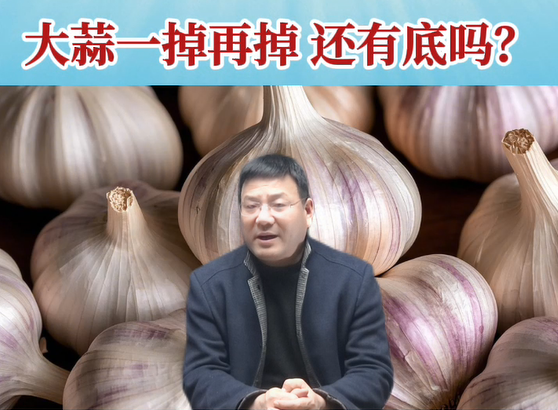 大蒜一掉再掉、還有底嗎？