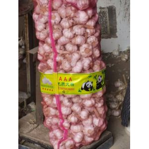 大蒜出口，大蒜加工