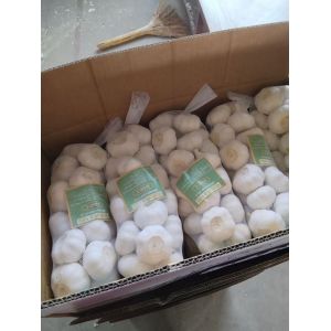 大蒜加工，出口