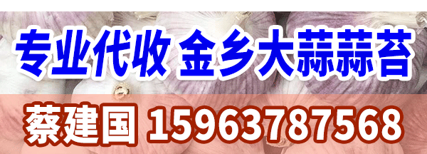 蔡建國(guó)-600-200-市場(chǎng)報(bào)道內(nèi)容頁(yè)