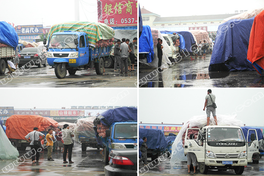 雨不休、貨不多、買的少--2015年6月29日“實話石說”