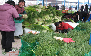 梁寨蒜苔大量上市 政府人員充當服務生