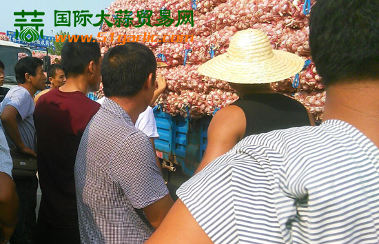實(shí)話石說(shuō)——國(guó)際大蒜貿(mào)易網(wǎng)