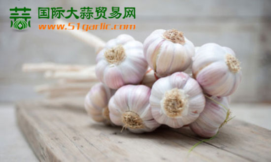 國際大蒜貿(mào)易網(wǎng)