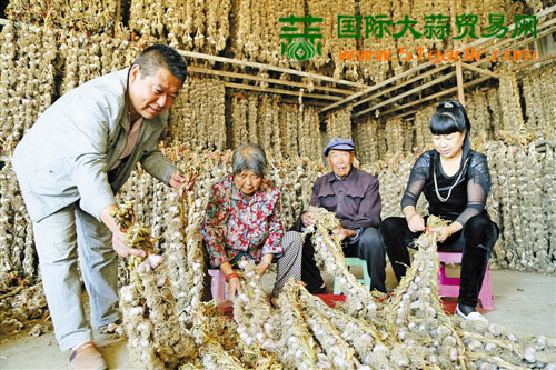 國際大蒜貿(mào)易網(wǎng)